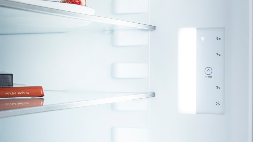 Однокамерный холодильник Liebherr Re 1201-20 001, белый фото 13