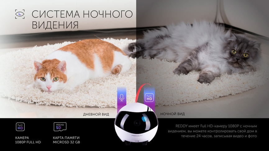 Робот-помощник Red Solution Reddy AIR фото 12