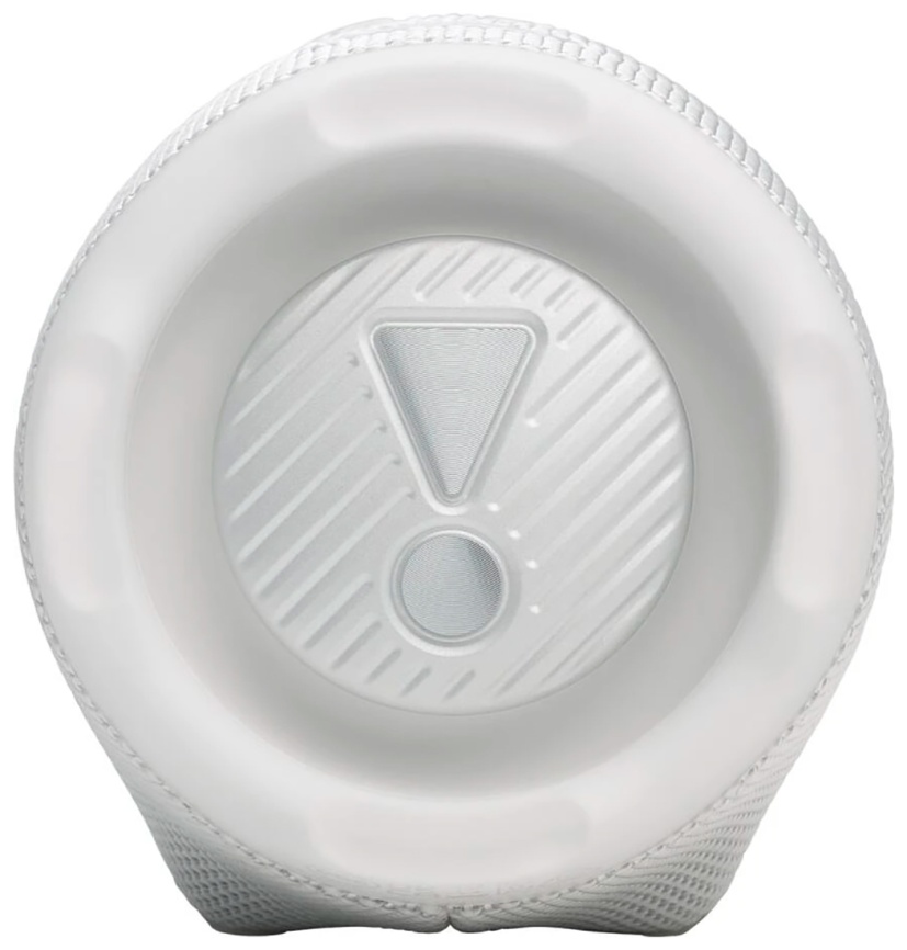 Портативная колонка JBL CHARGE 6, белый фото 4