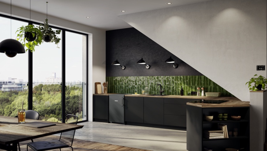 Однокамерный холодильник Liebherr Rdgd 1400-20 001 фото 10