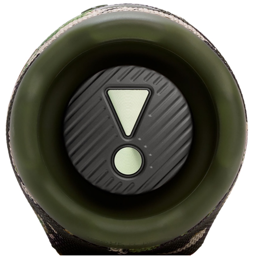 Портативная колонка JBL CHARGE 6, камуфляж фото 4