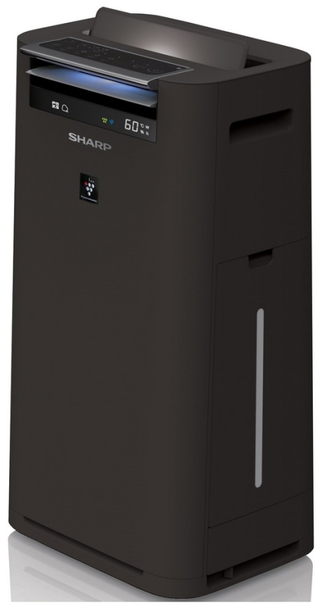 Воздухоочиститель Sharp KCG 41 RH фото 4