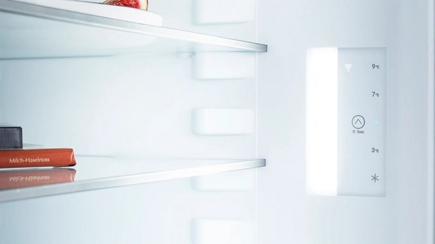 Однокамерный холодильник Liebherr Rdgd 1401-20 001 фото 8