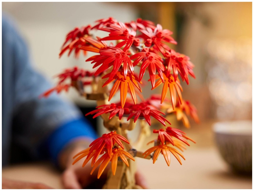 Конструктор Lego Botanicals Бонсай из японского красного клена (10348) фото 5