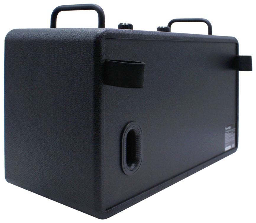 Портативная колонка с двумя микрофонами BukaTech Patty, черный фото 10