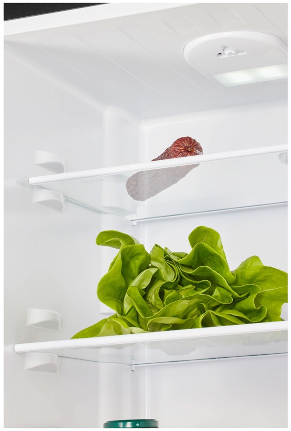 Двухкамерный холодильник Nord NRB 122 B фото 6