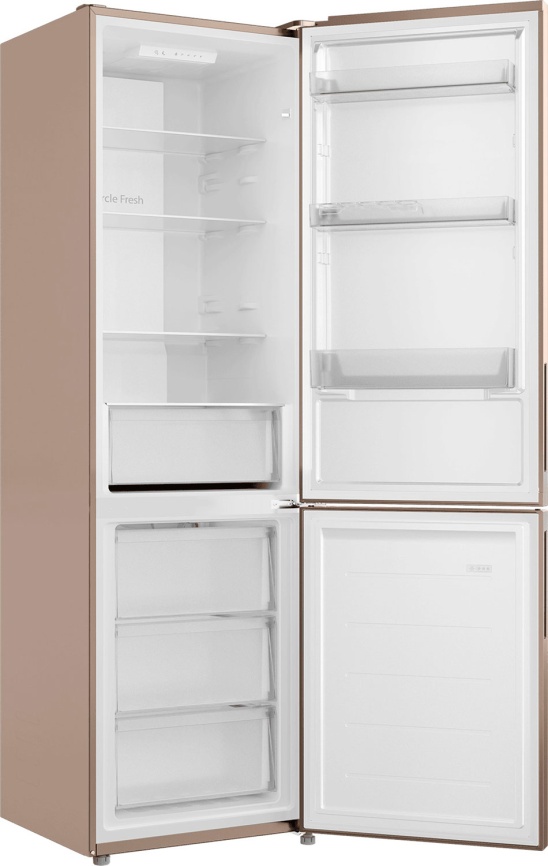 Двухкамерный холодильник Candy CFN6200G No frost, золотой фото 4