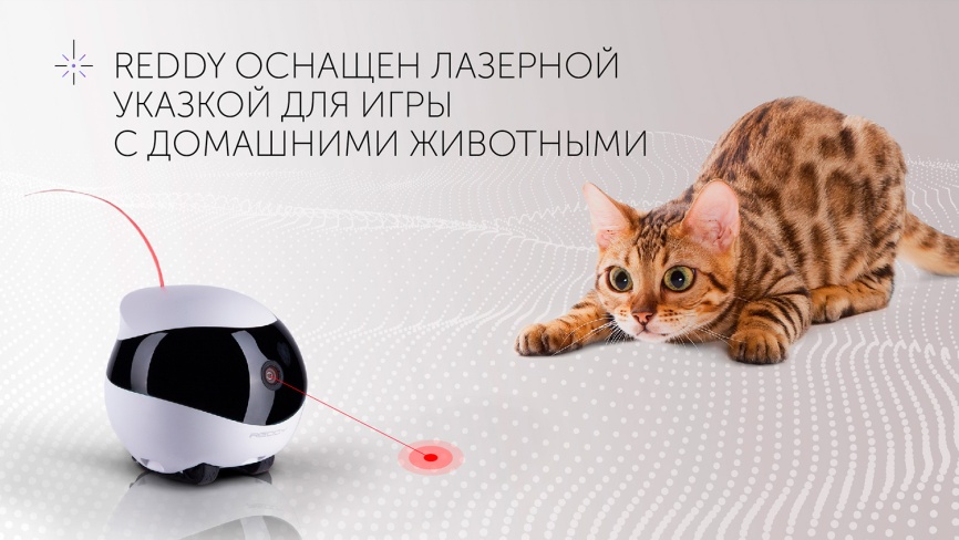 Робот-помощник Red Solution Reddy AIR фото 16