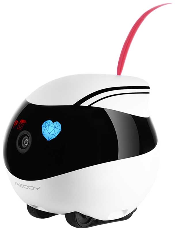 Робот-помощник Red Solution Reddy AIR фото 2
